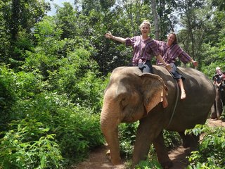 Luang Prabang – Elephant Riding (B, L)