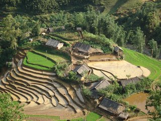 Sapa - Lao Chai - Hanoi (B, L)