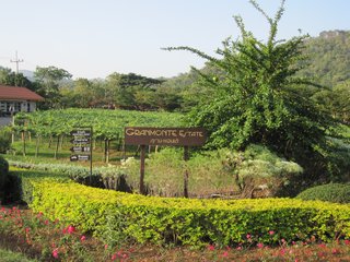 Ayutthaya - Khao Yai National Park (B, L, D) 