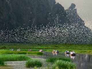 Cuc Phuong - Kenh Ga Tour