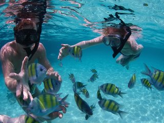 Koh Nang Yuan Snorkeling Tour 