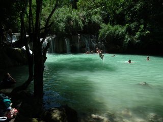 Luang Prabang – Kuang Si Waterfalls - Vientiane (B, L)