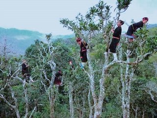 Laos Discovery Tour 