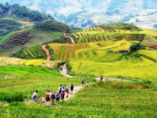 Mai Chau Trekking Tour 