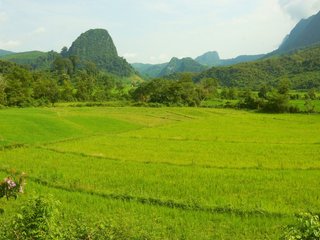 Muang Khua – Muong Ngoi – Nong Khiaw (B, L)