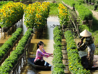 Siem Reap - Saigon 