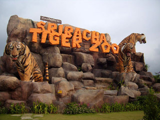 Tiger Park 