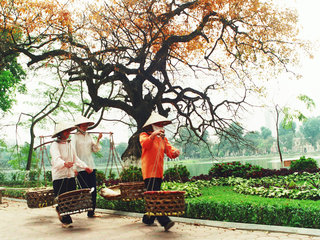 Hanoi City Tour (B, L)