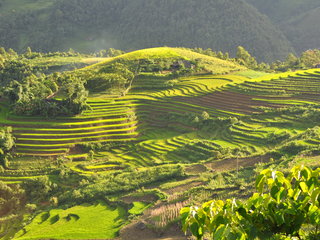 Sapa – Lao Chai – Ta Van – Ancient Carved Rock Stone Site (B, L, D)