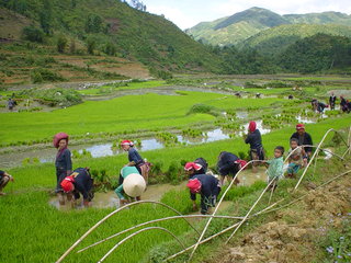 Sapa Trekking (B, L)