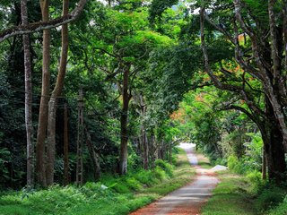 Hanoi – Cuc Phuong National Park (B, L, D)