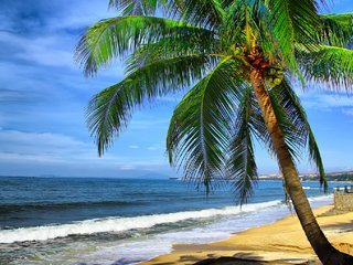 Ho Chi Minh – Phan Thiet - Mui Ne (B)