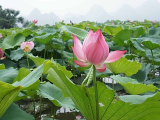 School Visit - Hanoi Departure (B, L)