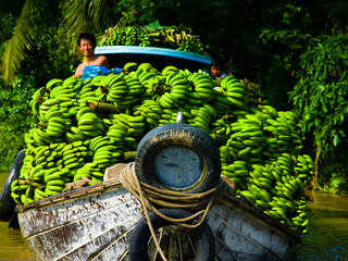 Ho Chi Minh - Mekong Delta (B, L, D)