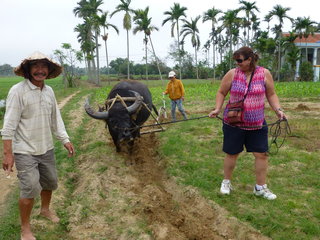 Farming in Tra Que Village (B, L)