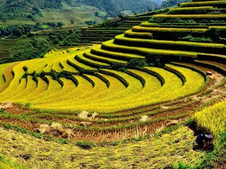 Churches Visit in Hanoi – Drive to Sapa (B, L, D)