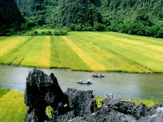 Hoa Lu - Tam Coc Tour 