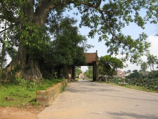 Duong Lam Ancient Village Tour