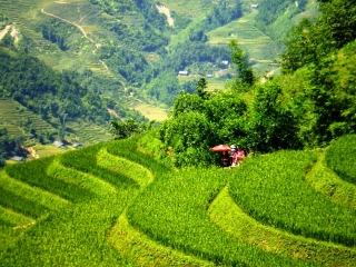 Sapa - Bac Ha 