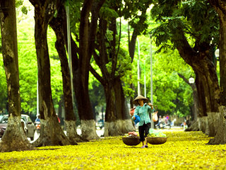 Hanoi Arrival 