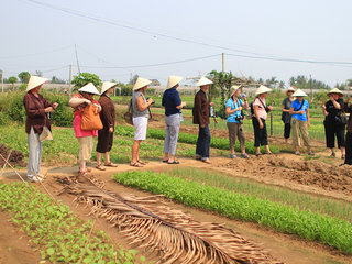 Tra Que Vegetable Farming Tour Half Day