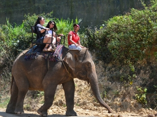 Da Lat Elephant Riding Tour