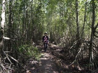 Can Gio Mangrove Forest - Monkey Island Tour 1 Day