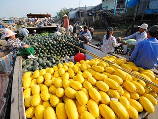 Boat Cruise on Cai Rang Market – Departure (B)