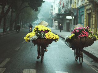 Hanoi Arrival 