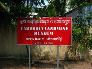 Banteay Srei - Landmine Museum - Tonle Sap Lake (B, L)