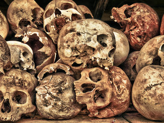 Killing Fields (B, L)