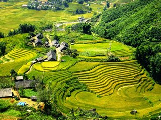 Hanoi City Tour – Train to Sapa (B, L, D)