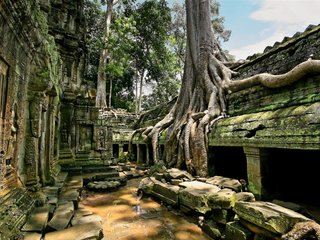 Angkor Tours (B, L)