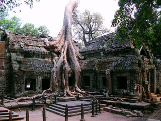 Siem Reap Arrival (L)