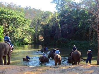 Sukhothai – Lampang - Chiang Mai (B, L, D)