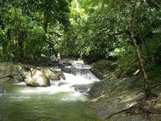 Kaeng Krachan National Park (Pa La-Ou Waterfall) – Night Market (B, L)