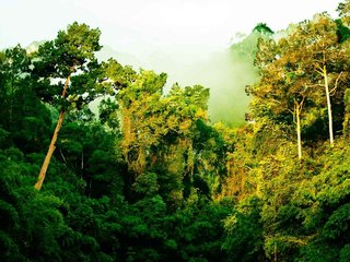 Khao Sok National Park (B, L, D)