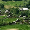 Mai Chau