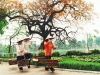 Family Travel to Vietnam - Cambodia