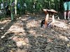 Luxury Honeymoon in Vietnam