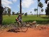 Coastal Cycling Adventure