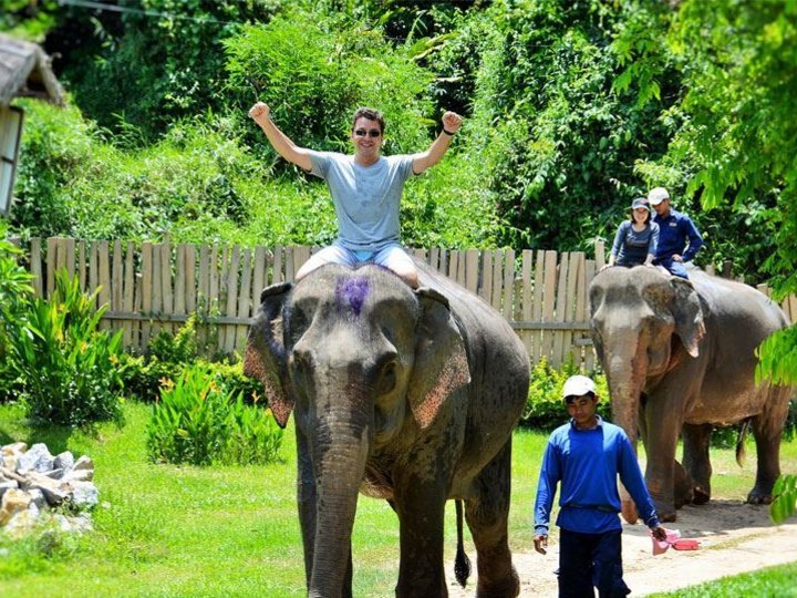 Elephant Village Sanctuary 