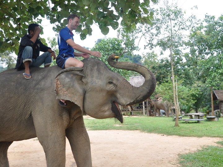 Elephant Village Sanctuary 