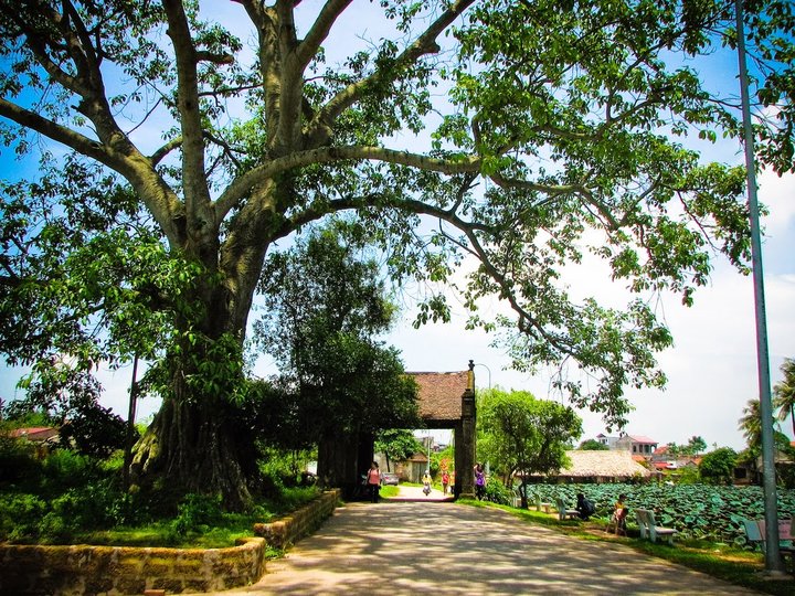 Duong Lam Ancient Village