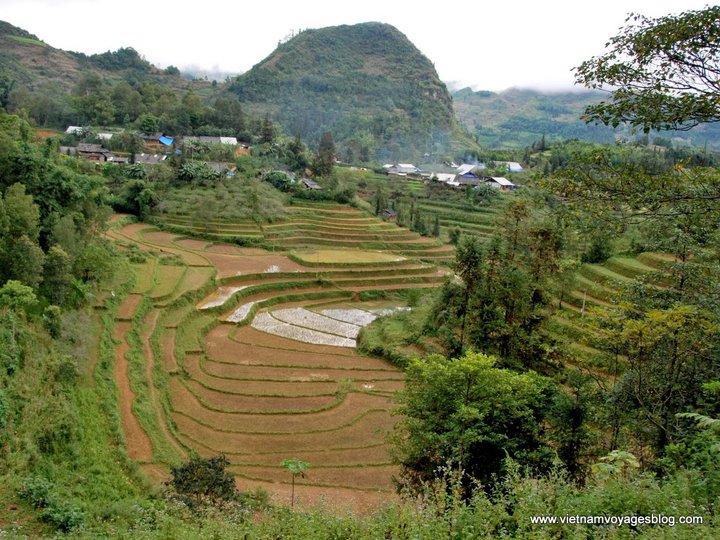 Ban Pho Village image Ban Pho Village