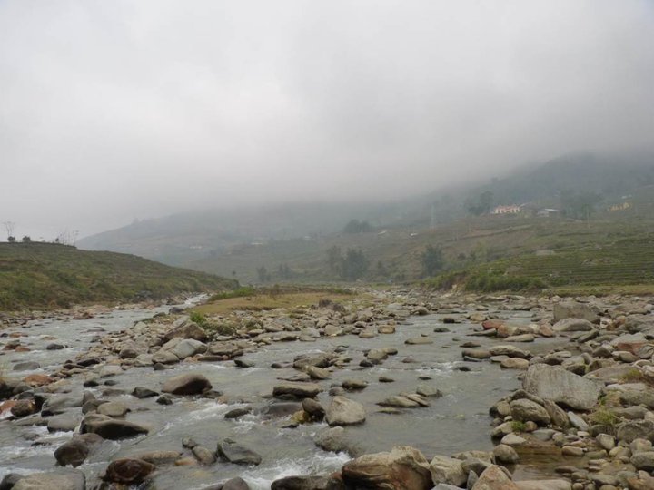 Ancient Rock Field