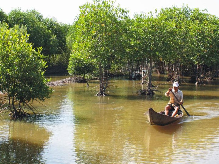 Can Gio Mangrove Forest