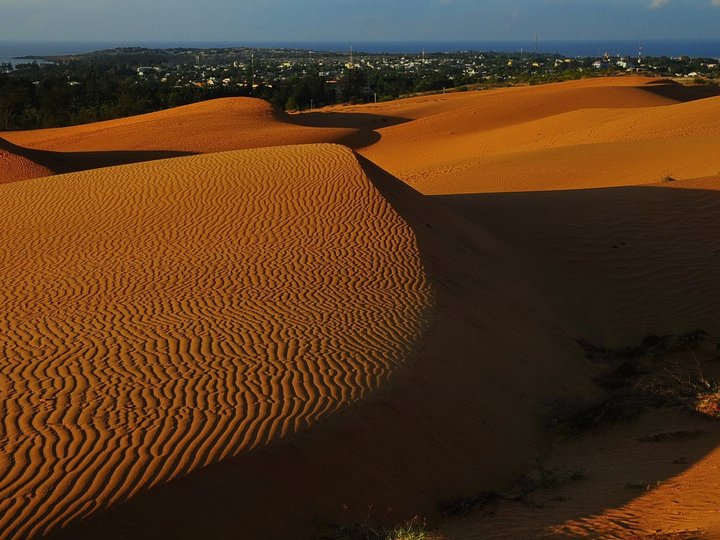 Sand Dunes
