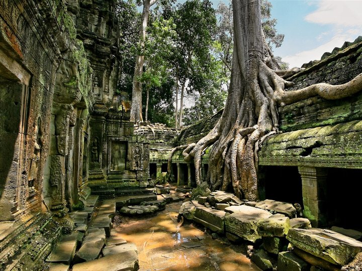 Ta Prohm Temple