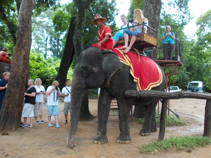 Elephant Rides 